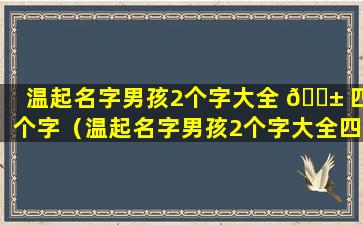 温起名字男孩2个字大全 🐱 四个字（温起名字男孩2个字大全四个字的名字）